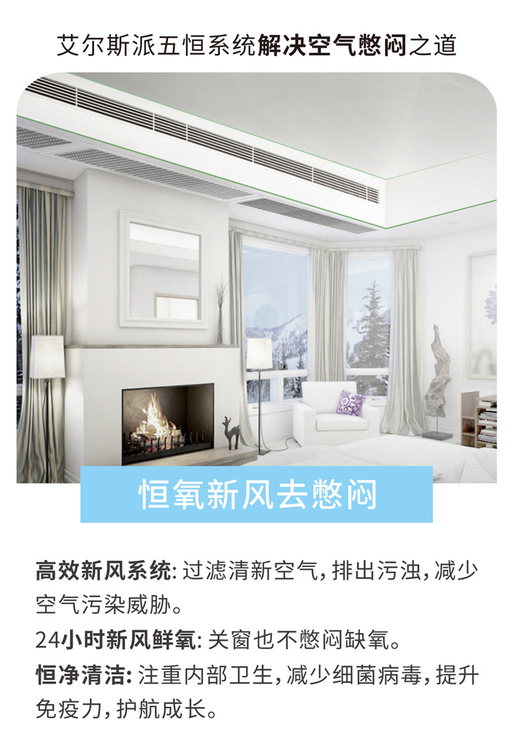 艾爾斯派AI五恒系統09.jpg